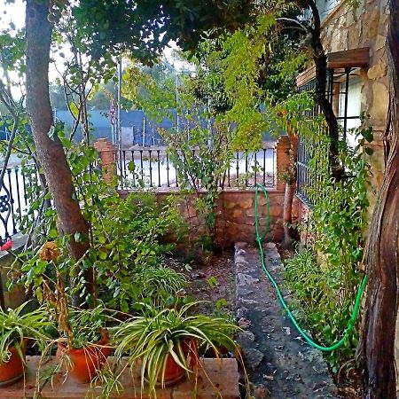 Casa Rural Zarco Miralles Мелехис Экстерьер фото